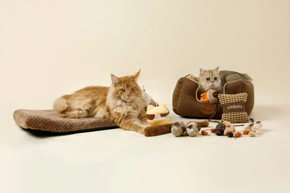 For-Cats LoafyPaws