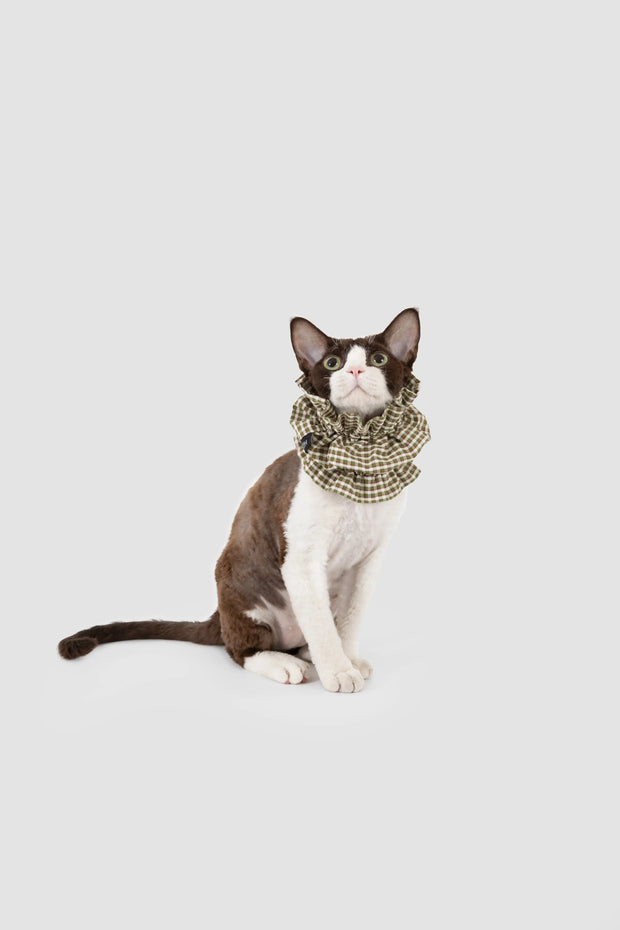 CleanPaws Protective Bib – worn on cat