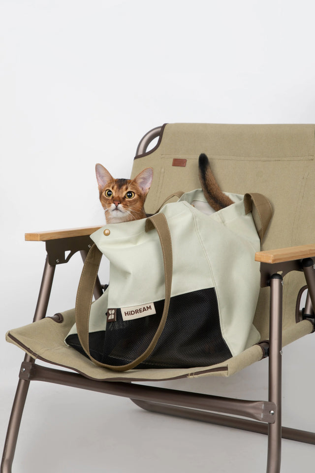 ColorBlock Pet Shoulder Carrier – Cat in carrier