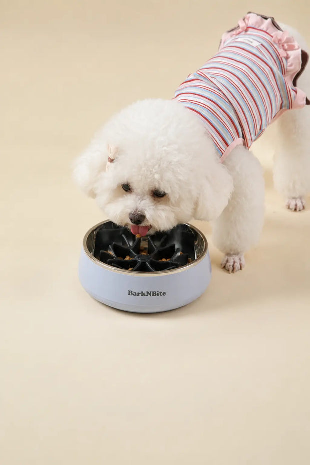 Dog using the BarkNBite WideSip stainless steel pet bowl with slow feeder mat