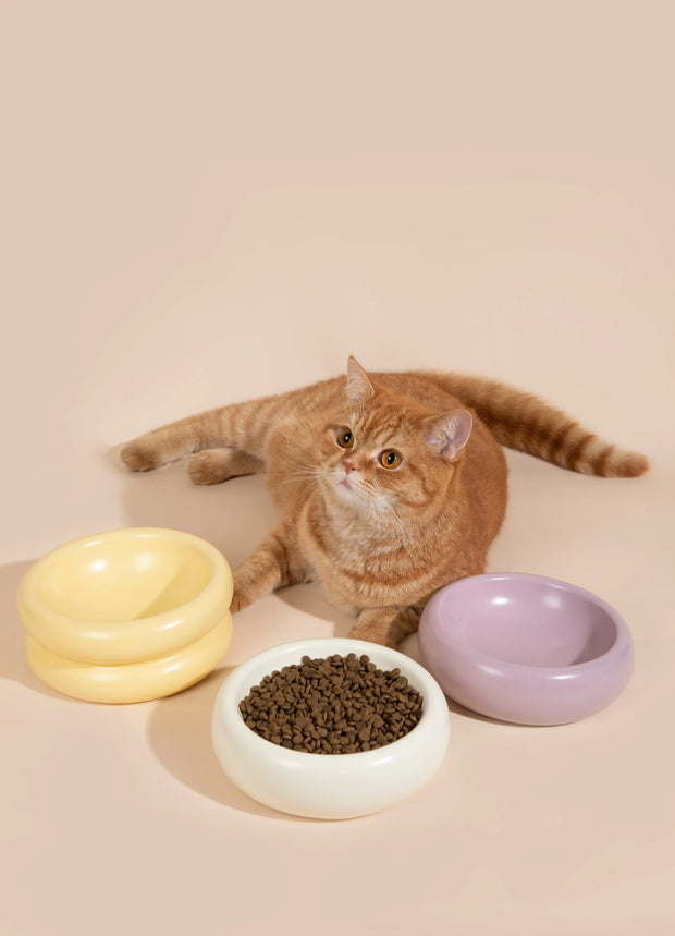 CloudNest Donut Ceramic Pet Bowl color collection