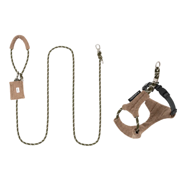 Caramel Brown harness + matching leash set — user composite with transparent background