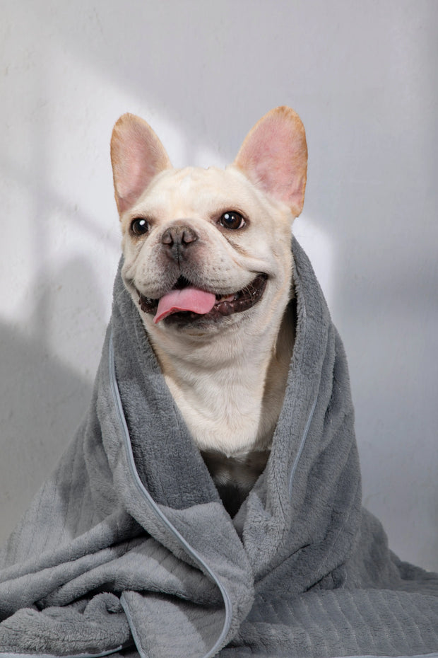 CloudWrap XL Pet Bath Towel in Dusk Gray