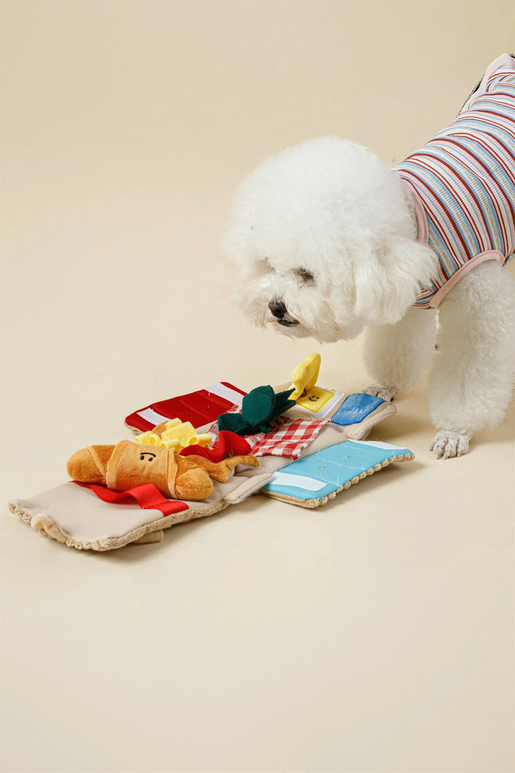 Dog exploring the Picnic Paws Hide-and-Seek Snuffle Toy Set