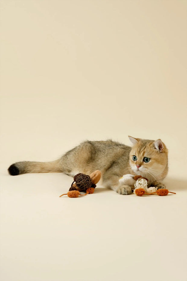 Cat playing with the two-piece Rattan Buddy cat toy set
