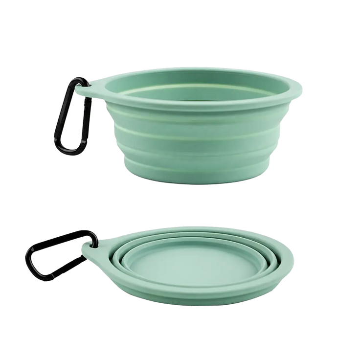 RoamBowl collapsible travel bowl in Sage Green, true transparent background