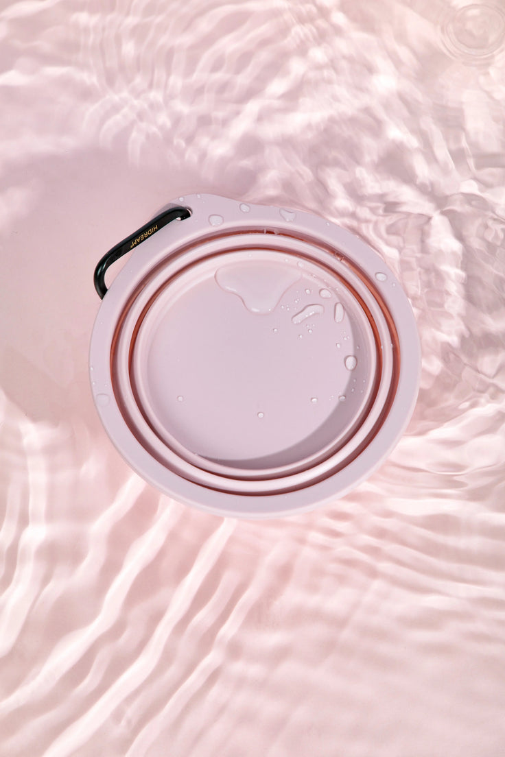 RoamBowl Collapsible Travel Bowl in water