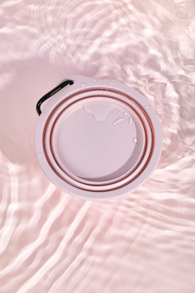 RoamBowl Collapsible Travel Bowl in water