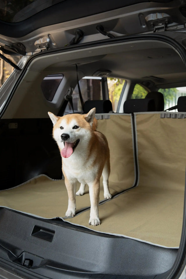 RoamGuard Pet Car Seat Cover in SUV cargo area
