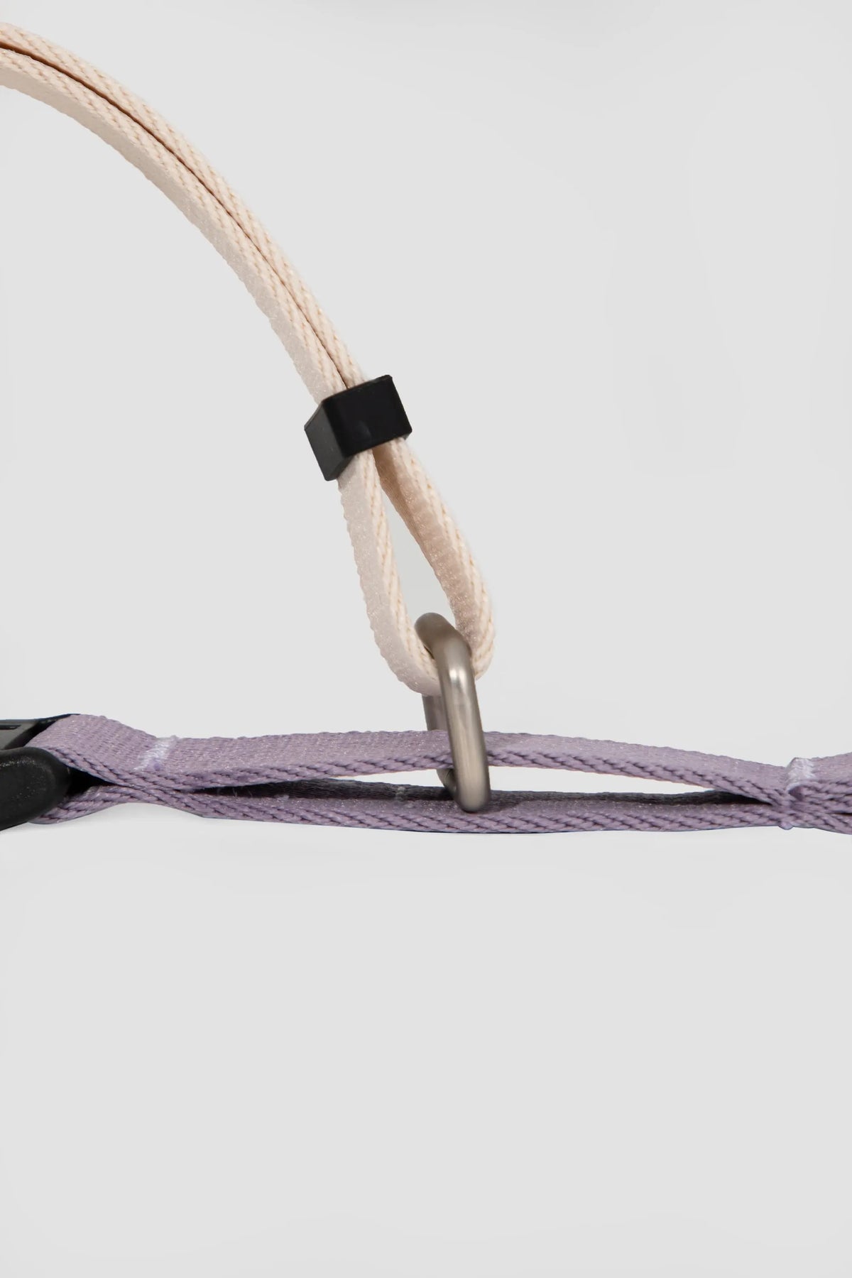 ValleyEase Martingale Dog Collar connected to a leash