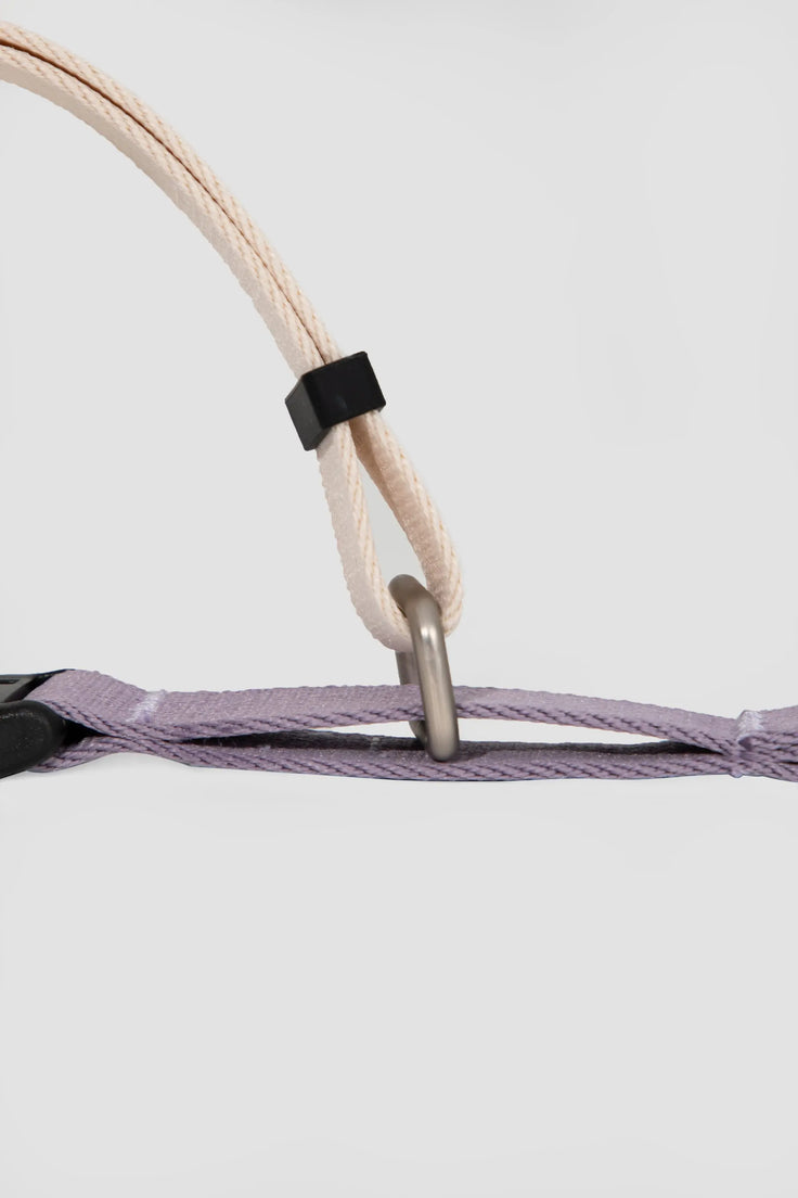 ValleyEase Martingale Dog Collar connected to a leash