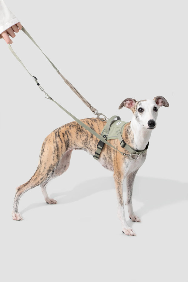 ValleyStride Flex Buffer Leash in use