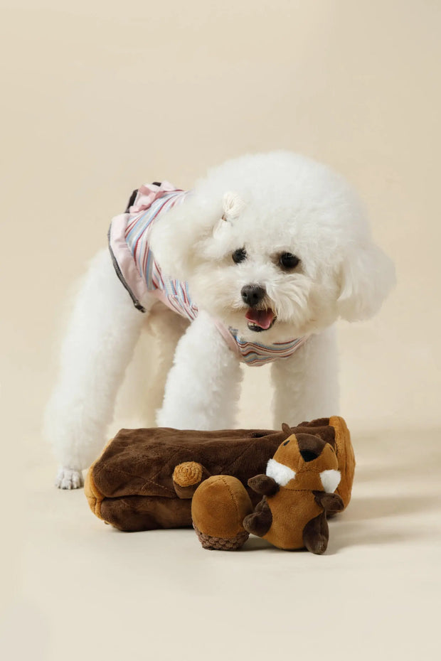 Dog playing with the woodland hide-and-seek plush toy set